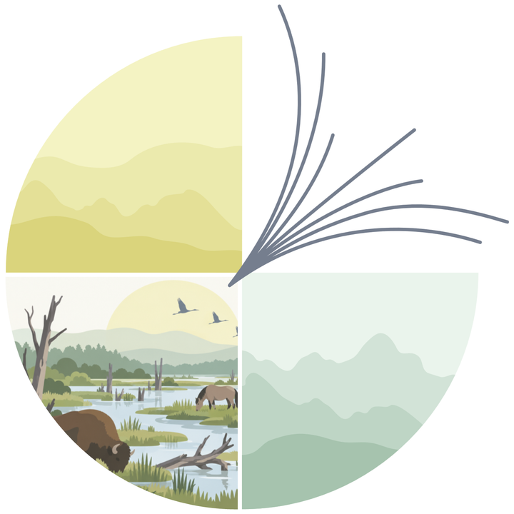 FutureGrounds theme illustration for rewilding