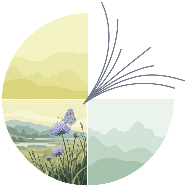 FutureGrounds theme illustration for species and habitats
